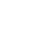 LEVITATION logo