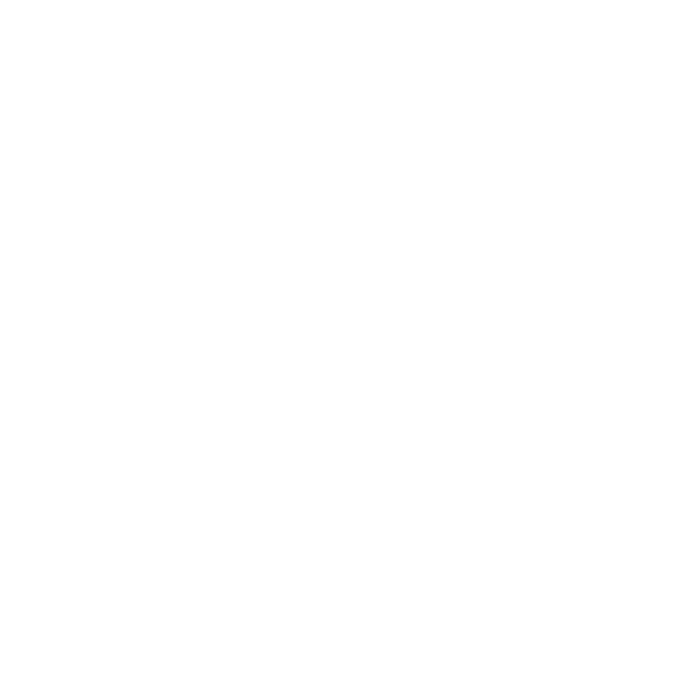 Ronix  logo